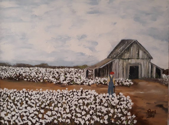 ᐈ Cotton Fields Stock Pictures Royalty Free Cotton Field