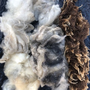 May include: Three different types of wool fibers: white, gray, and brown. The wool is soft and fluffy, and it is perfect for crafting.