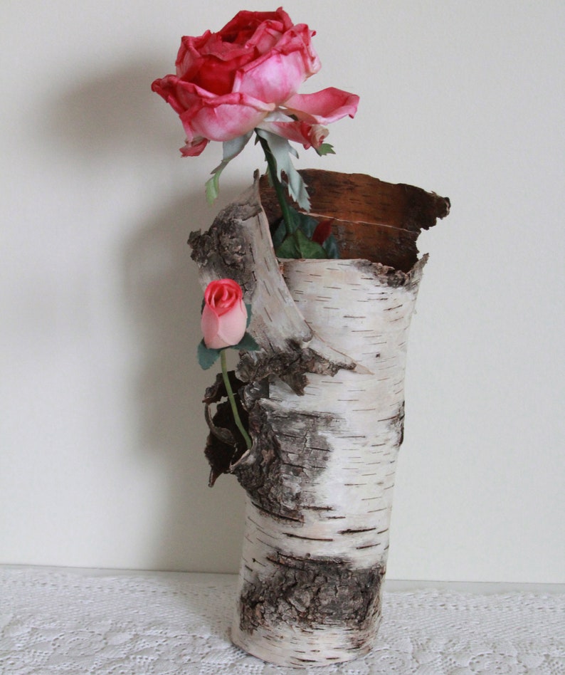 Flower Arranging Beautiful Sleeve of Birch Bark Hollowed Naturally by Decay Natural Birch Bark Sleeve for Crafting Betula Bark C