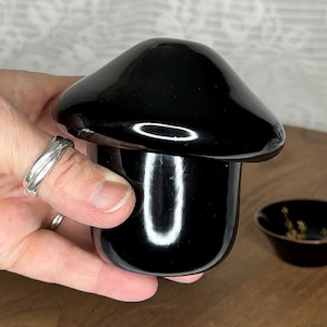 Può includere: Un portaoggetti in ceramica nera a forma di fungo con finitura lucida.