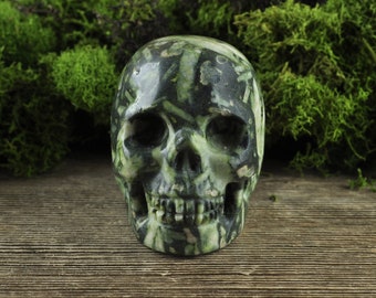 Kambaba Jasper Crystal Skull, 2 inch! Halloween Decor, Skull Decor, Gothic Home Decor, Memento Mori, Goth Decor, Crystal Decor