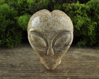 Natural Realistic Coral Fossil Alien Crystal Skull, 2inch! Starbeing, Alien, ET, Alien Skull, Crystal Alien