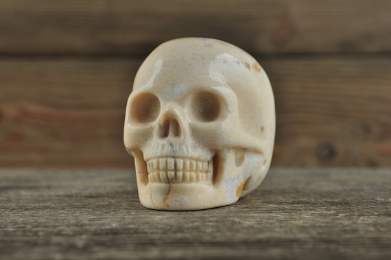 Coral Fossil Crystal Skull, 2 inches! Halloween Decor, Skull Decor, Gothic Home Decor, Memento Mori, Goth Decor, Crystal Decor