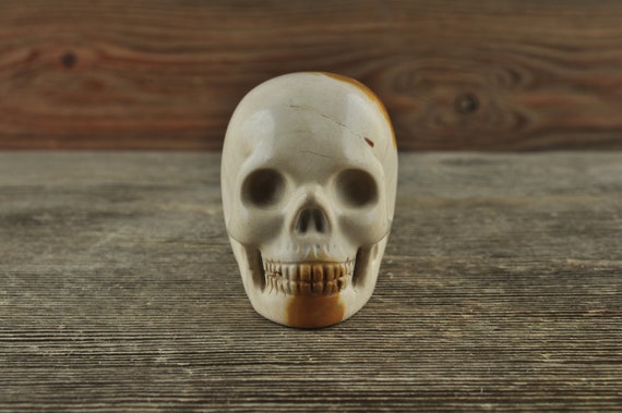 Coral Fossil Crystal Skull, 2 inches! Halloween Decor, Skull Decor, Gothic Home Decor, Memento Mori, Goth Decor, Crystal Decor