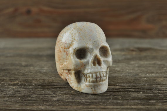 Coral Fossil Crystal Skull, Mini! Halloween Decor, Skull Decor, Gothic Home Decor, Memento Mori, Goth Decor, Crystal Decor