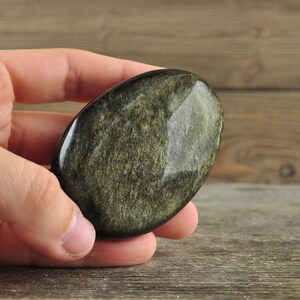 Gold Sheen Obsidian Palmstone!
