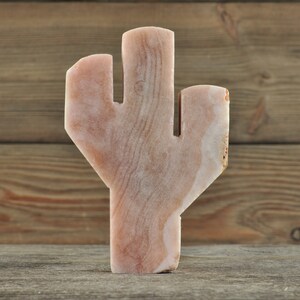 Pink Amethyst Cactus