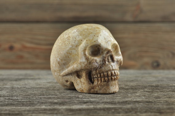 Coral Fossil Crystal Skull, 2 inches! Halloween Decor, Skull Decor, Gothic Home Decor, Memento Mori, Goth Decor, Crystal Decor