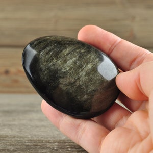 Gold Sheen Obsidian Palmstone!
