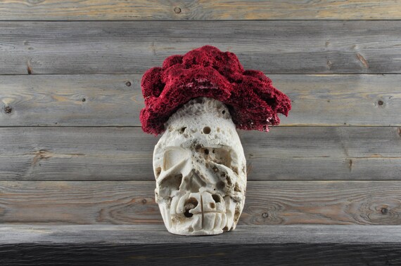 One-of-a-Kind Coral Carved, Crystal Skull! Halloween Decor, Skull Decor, Gothic Home Decor, Memento Mori, Goth Decor, Crystal Decor