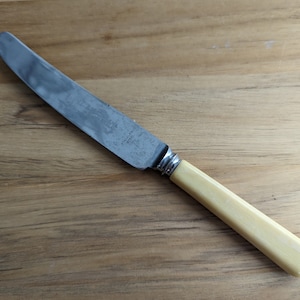 May include: A stainless steel butter knife with a cream-coloured handle. The knife has the words "STAINLESS" and "ENGLAND" etched on the blade.