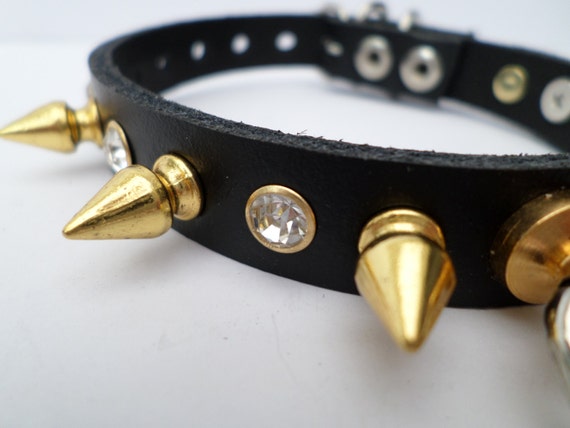 Chihuahua spiked collar top