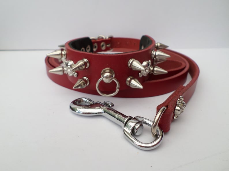 Chihuahua Spiked Dog Collar / Extra Small Spiked Dog Collar Etsy