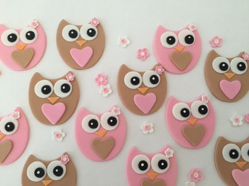 Owls Edible Cupcake Toppers with Flowers Fondant image 4