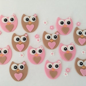 Owls Edible Cupcake Toppers with Flowers Fondant image 1