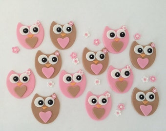 Owls Edible Cupcake Toppers with Flowers - Fondant