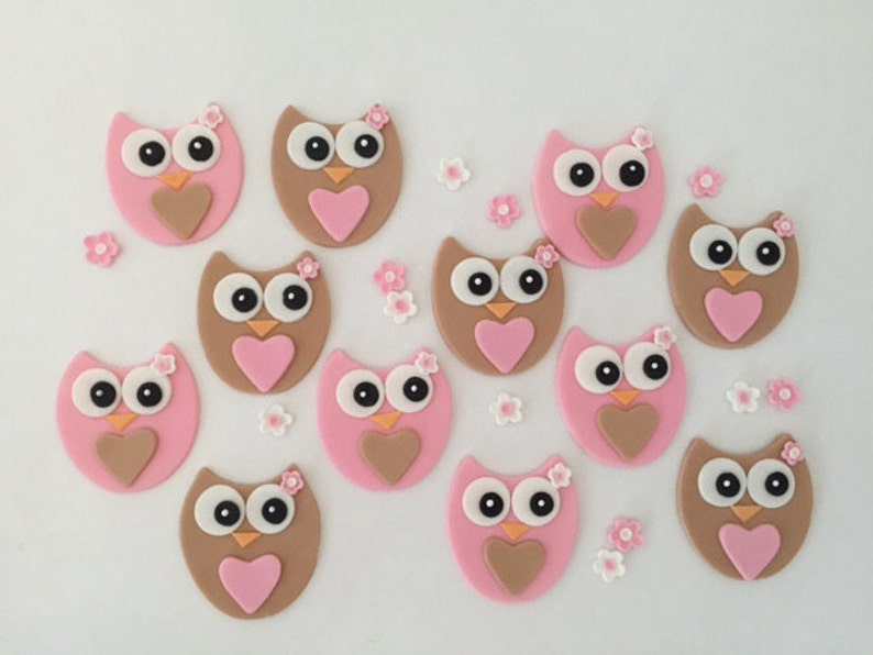 Owls Edible Cupcake Toppers with Flowers Fondant image 1