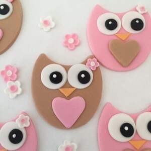 Owls Edible Cupcake Toppers with Flowers Fondant image 3