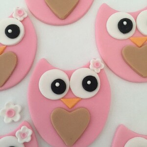 Owls Edible Cupcake Toppers with Flowers Fondant image 2