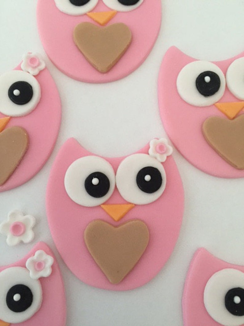 Owls Edible Cupcake Toppers with Flowers Fondant image 2