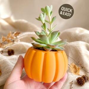 Op de afbeelding: Een kleine, feloranje pompoenvormige plantenpot met een lichtgroene vetplant. De pot heeft verticale ribbels en een gladde, matte afwerking. Een cirkelvormige donkerbruine afbeelding met de witte tekst QUICK & EASY is zichtbaar.