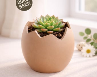 Cracked Egg Planter STL - 3D Print File, Easter Home Decor (Digital Download, Commercial Use)