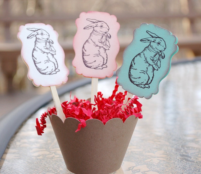 Easter Spring Cupcake Toppers Bunny Pink Mint Teal Baby Shower Vintage Rabbit Wedding Party Decor Cupcake Wrappers Holders
