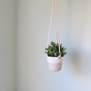 Hanging basket Plants, Toys & More Suits nursery, cafe, kitchen image 1