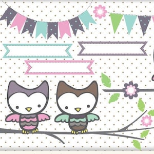 Achtergronden Digitaal Papier Buhitos Buhos clipart Baby Meisje banner Mint Roze Lichtgroen grijs paarse chevron afdrukbare uitnodigingen babyshower