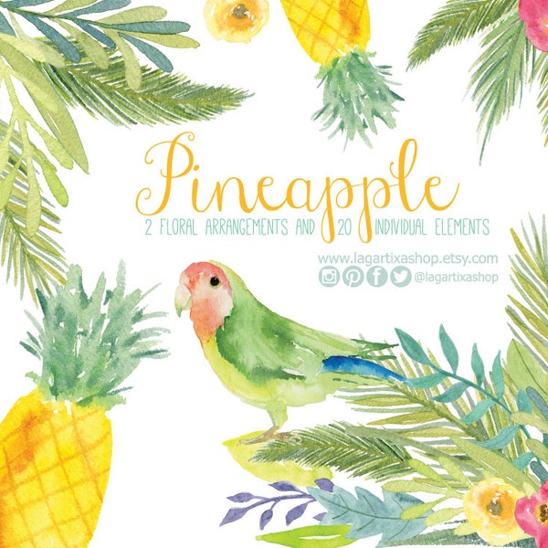 Tropical Pineapple Parrot Watercolor clipart Floral PNG | hawaiian wedding flowers, bridal shower, beach birthday party, blog banner