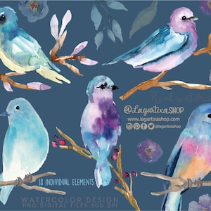 Clipart Fleurs et Oiseaux à l’aquarelle, PNG, peint à la main, branches, pour invitations, enterrement de vie de jeune fille, cartes, blog, décoration de la maison