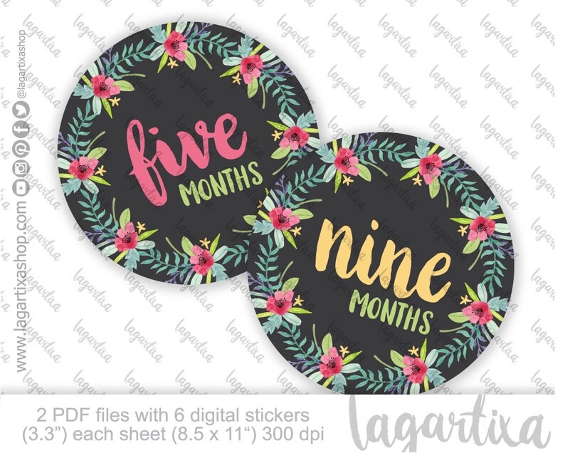Monthly Baby Stickers Printables Watercolor Florals Hand | Etsy