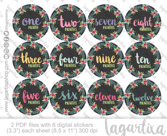 Monthly Baby Stickers Printables Watercolor Florals Hand | Etsy