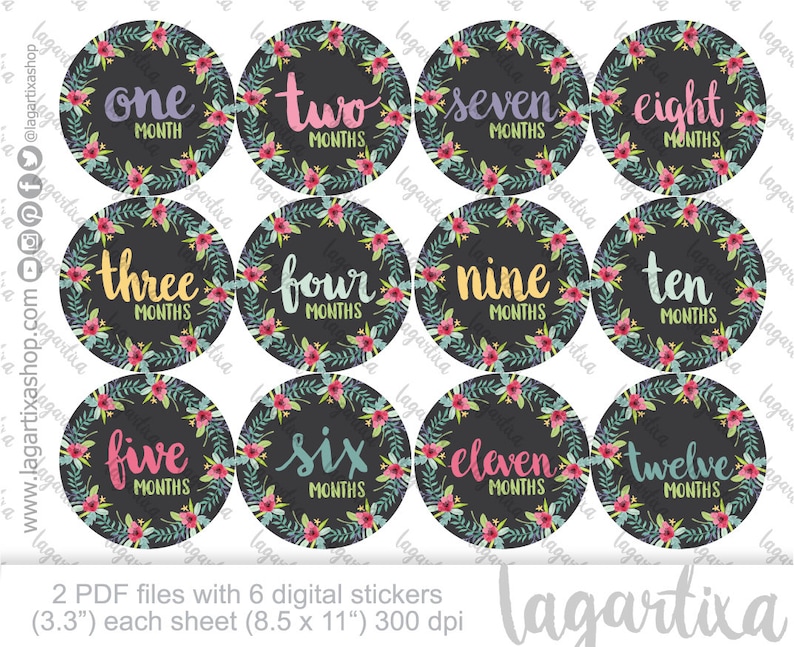 Monthly Baby Stickers Printables Watercolor Florals Hand - Etsy
