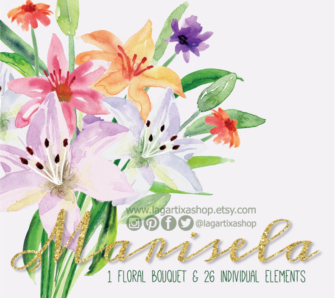 Lilis Flores en Acuarela Clipart PNG pintadas a mano - Etsy México Lilis Flores en Acuarela Clipart PNG pintadas a mano - Etsy México