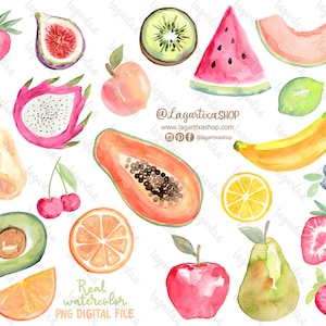 Acquerello Frutta Clipart PNG Dipinto a mano Tropicale, Agrumi, Anguria, Fragole, Avocado, Banana, Fico, Pitaya, Frutto del drago