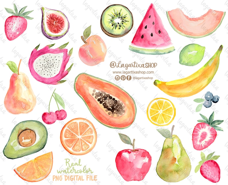 Fruits Watercolor Hand Painted PNG Clipart Sublimation Ideas, Summer ...
