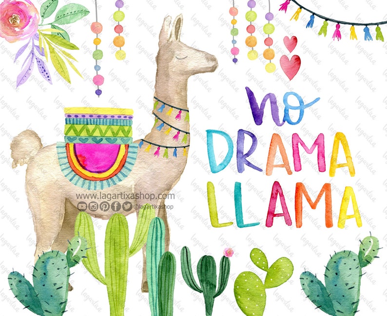 May include: Watercolour illustration of a llama with a colourful saddle and a banner that reads "no drama llama". The llama is surrounded by cacti and colourful flowers.