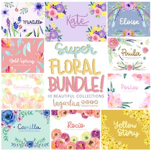 Super pacchetto in offerta fiori ad acquerello, clipart PNG, dipinto a mano, cornici, per inviti, addio al nubilato, cartoline, blog