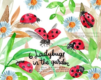 Ladybug in Green Plants Real Watercolor, Flying, Spring bugs, Easter, Garden, hand painted, clipart PNG leaves, white daisy flowers,