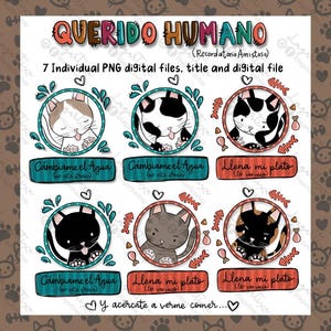 Dibujo Gatitos de varios colores, Blanco, naranja, gris, vaquita, PNG, dibujo hecho a mano, tierno para invitaciones, etiquetas, efecto tiza