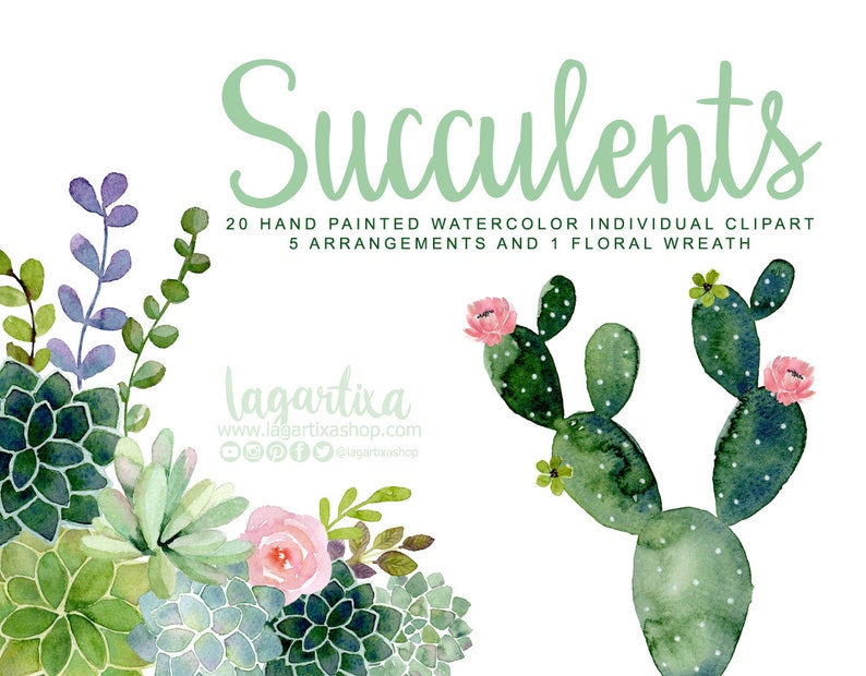 May include: A set of 20 hand-painted watercolor succulent clipart images. The set includes 5 arrangements and 1 floral wreath. The succulents are in shades of green, pink, and purple.