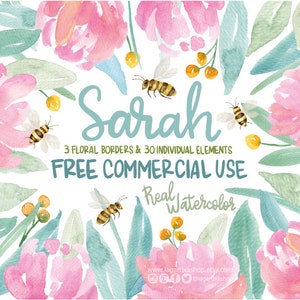 Peonias Abejas Flores Acuarela PNG Clipart Flores Rosas claro para Invitaciones Bautizo Boda Lagartixa art Archivos digital Pascua Primavera