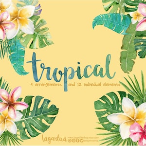 Folhas tropicais em aquarela, monstera, hibisco, palmas, plumeria, folha de bananeira, banana, clipart havaiano PNG, arranjo de flores,