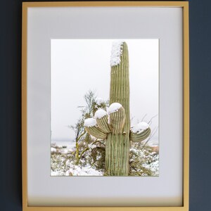 Sahuaro, Saguaro, Snow, Snowy Cactus, Cacti, Desert, Winter, Vertical Wall Art, Art Print, Photography, Home Decor, Landscape Photography