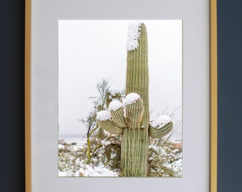Sahuaro, Saguaro, Snow, Snowy Cactus, Cacti, Desert, Winter, Vertical Wall Art, Art Print, Photography, Home Decor, Landscape Photography