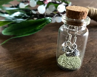 Princess crown earrings in a bottle