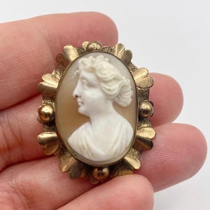 Antique Shell Cameo Brooch With An Ornate Gold tone Frame