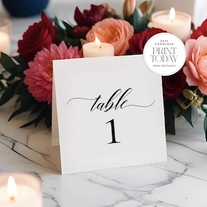 Tented Table Numbers, doppelt, Hochzeit, Gala, Events, einfach, schwarz & weiß, 5x5 gefaltet, sofortiger Download, nicht editierbar, Tische 1-20