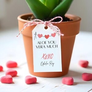 May include: A terracotta pot containing a small green aloe plant. A white gift tag with pink hearts and the text "Aloe You Vera Much xoxo Ophelia Ray" is tied to the pot with twine.